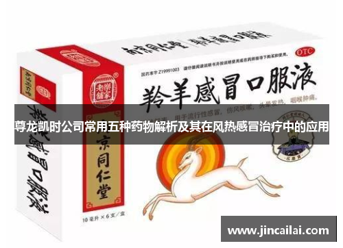 尊龙凯时公司常用五种药物解析及其在风热感冒治疗中的应用